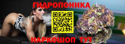 тгк Ипатово